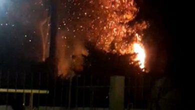 Foto de Corpo de Bombeiros consegue controlar novos focos de incêndio na Mata de Cazuzinha em Cruz das Almas