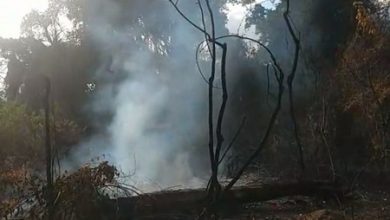 Foto de Cruz das Almas: Mata de Cazuzinha volta a pegar fogo