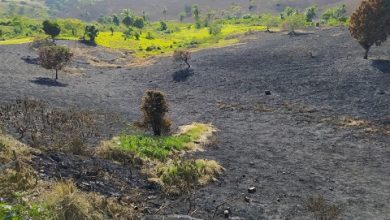 Foto de SAJ: Moradores da Região do Clube dos 1000 fogem de casa por causa de incêndio que espalhou fumaça pelo bairro