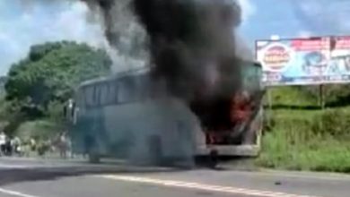 Foto de Ônibus pega fogo na BR-101e assusta passageiros – Governador Mangabeira