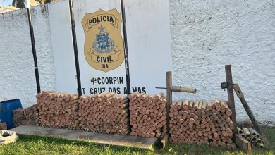 Foto de Vídeo: Polícia Civil apreende quantidade gigante de ‘espadas’ em Cruz das Almas