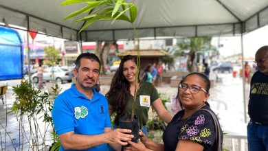 Foto de Prefeitura de Cruz das Almas realiza doação  de plantas em comemoração ao Dia do Meio Ambiente