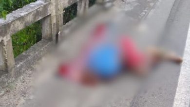 Foto de Corpo com sinais de atropelamento é encontrado na BR-101, entre Cruz das Almas e Muritiba