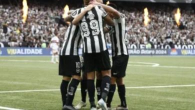 Foto de Botafogo vence São Paulo e conquista o Campeonato Brasileiro após 29 anos