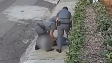 Foto de Policiais são afastados das ruas após vídeo mostrar dona de casa levando soco durante abordagem em SP