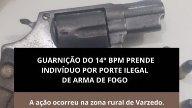 Foto de Polícia prende homem em flagrante por porte ilegal de arma de fogo na zona rural de Varzedo