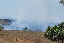 Foto de Vídeo: Incêndio na região da Fazendas Reunidas na BR-101, trecho de SAJ deixa motoristas e moradores preocupados