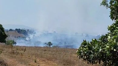 Foto de Vídeo: Incêndio na região da Fazendas Reunidas na BR-101, trecho de SAJ deixa motoristas e moradores preocupados