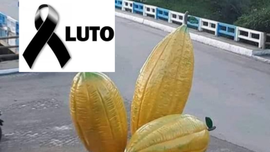 Foto de Mutuípe: pai mata filho de três anos e em seguida tira a própria vida; corpos foram removidos para o DPT de Santo Antônio de Jesus
