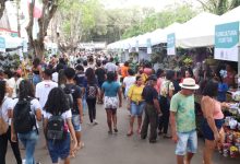 Foto de ExpoCruz 2025 começa nesta quinta (02) com atrações para toda a família