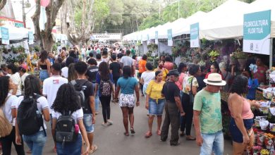 Foto de ExpoCruz 2025 começa nesta quinta (02) com atrações para toda a família